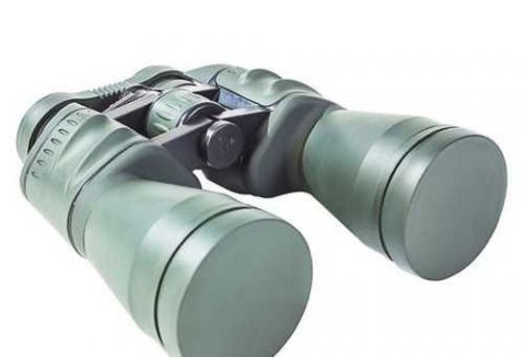 445654